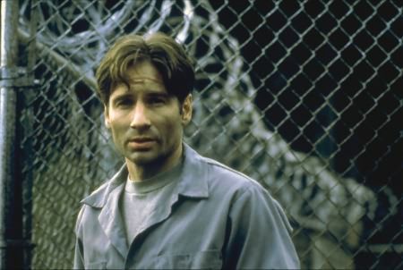 Bild David Duchovny
