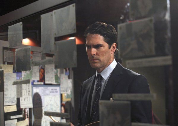 Bild Thomas Gibson