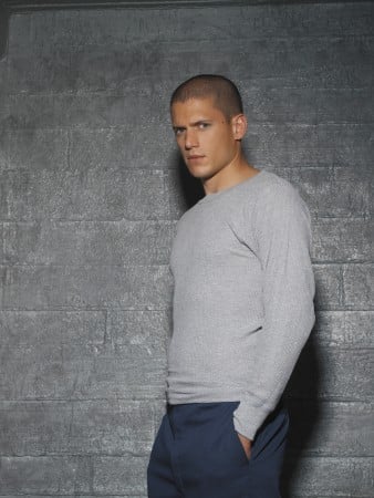 Bild Wentworth Miller