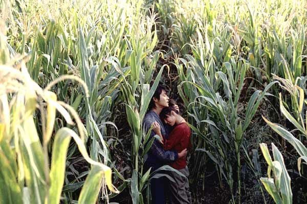 Sieben Schwerter : Bild