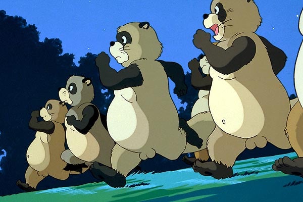 Pom Poko : Bild