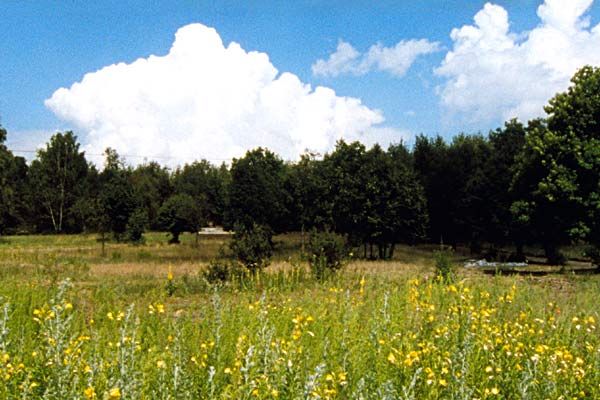 Bild Guillaume Moscovitz