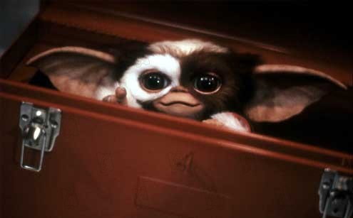 Gremlins - Kleine Monster : Bild Joe Dante