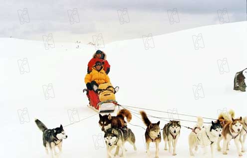 Antarctica - Gefangen im Eis : Bild Paul Walker, Bruce Greenwood, Frank Marshall