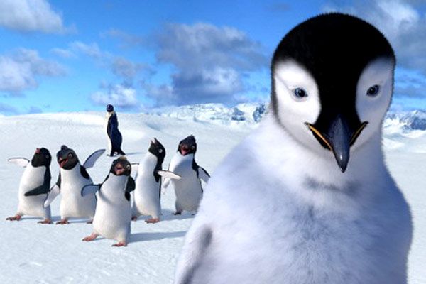 Happy Feet : Bild