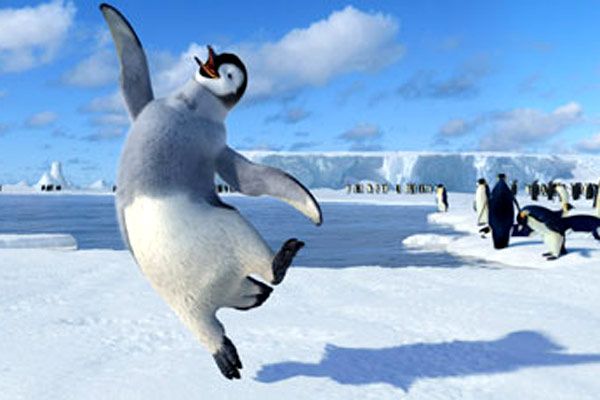 Happy Feet : Bild