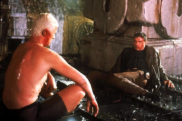 Blade Runner : Bild Harrison Ford, Rutger Hauer