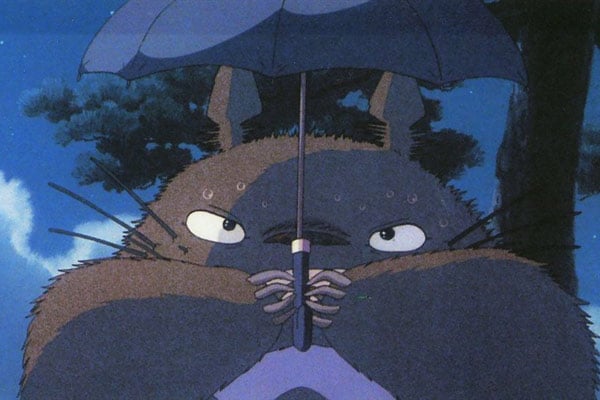 Mein Nachbar Totoro : Bild