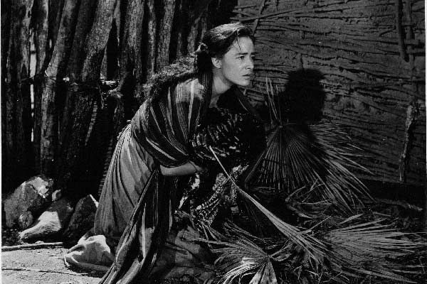 Bild Roberto Gavaldón