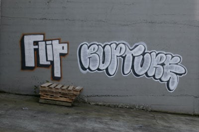 The Graffiti Artist : Bild