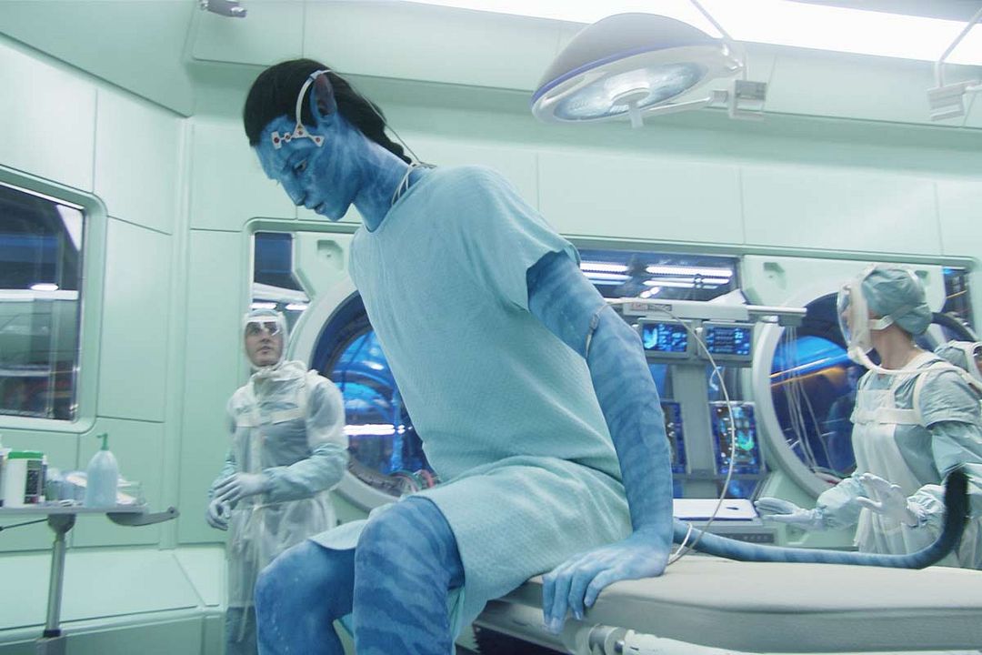Avatar - Aufbruch nach Pandora : Bild