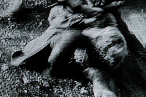 Bild Artavazd Pelechian