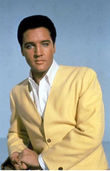 Tolle Nächte in Las Vegas : Bild Elvis Presley, George Sidney