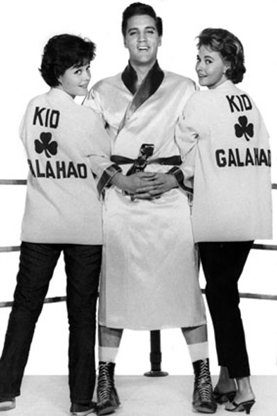 Kid Galahad - Harte Fäuste, heiße Liebe : Bild Elvis Presley, Phil Karlson