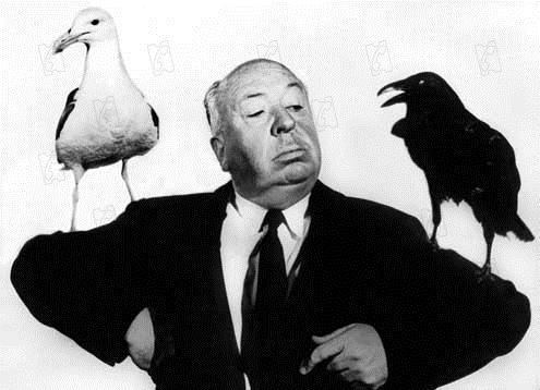 Die Vögel : Bild Alfred Hitchcock