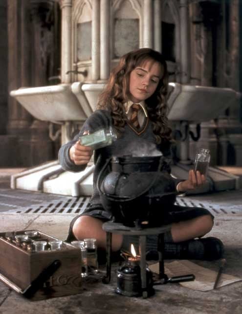 Harry Potter und die Kammer des Schreckens : Bild Chris Columbus, Emma Watson