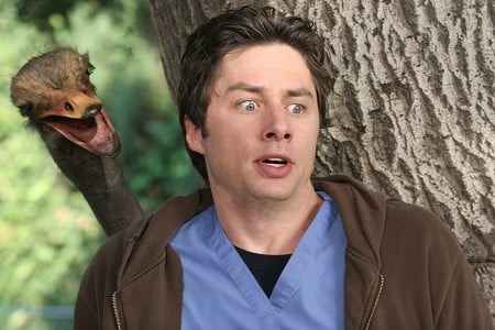 Bild Zach Braff