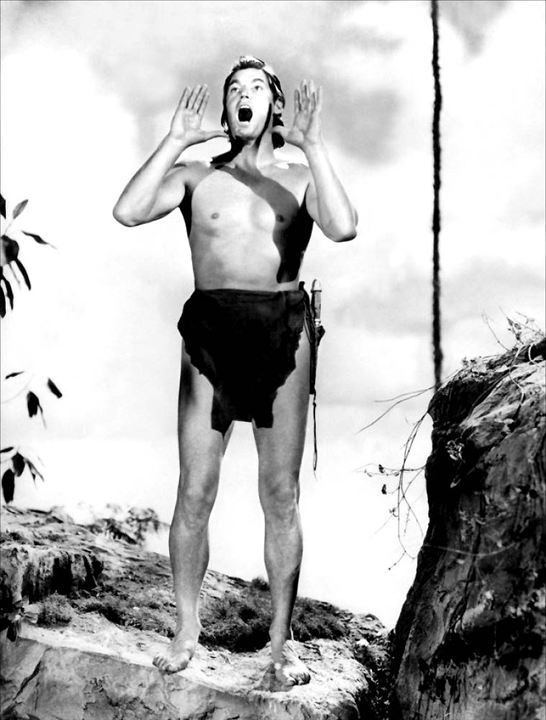 Tarzan, der Affenmensch : Bild