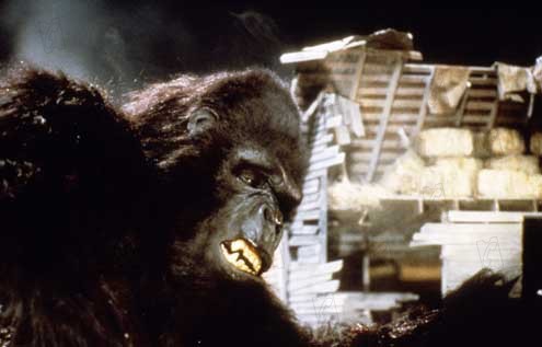King Kong lebt : Bild John Guillermin