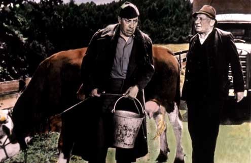 Ich und die Kuh : Bild René Havard, Fernandel, Henri Verneuil