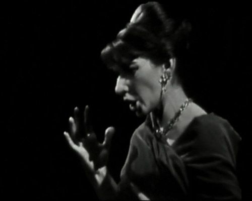 Callas assoluta : Bild