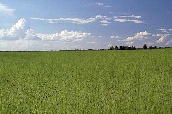 Primo Levis Reise : Bild Davide Ferrario