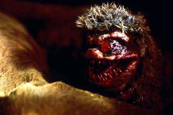 Critters 2 - Sie kehren zurück : Bild Mick Garris