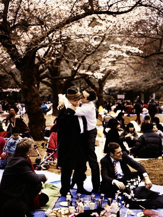 Kirschblüten - Hanami : Bild