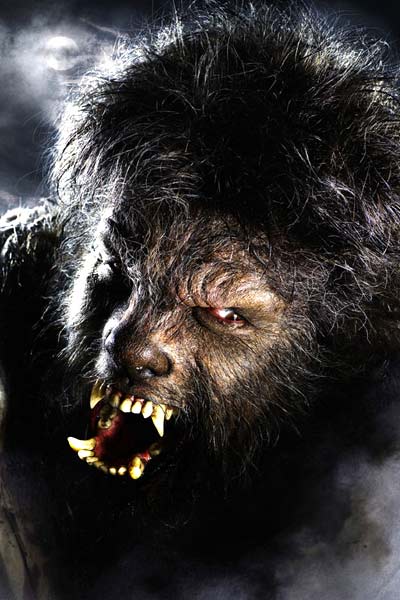 The Wolfman : Bild Benicio Del Toro, Joe Johnston