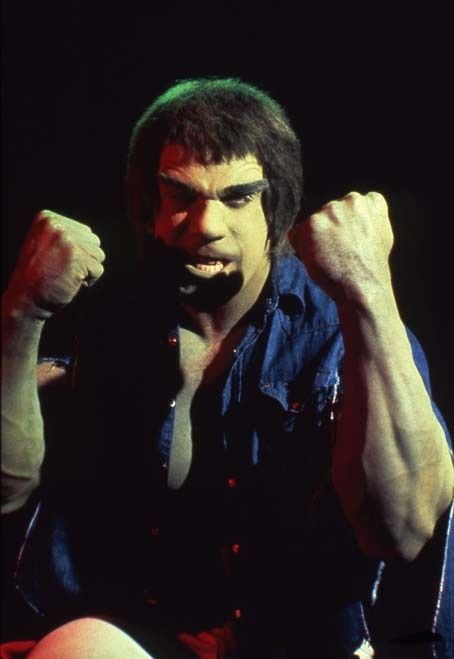 Bild Lou Ferrigno