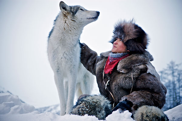 Der Junge und der Wolf : Bild