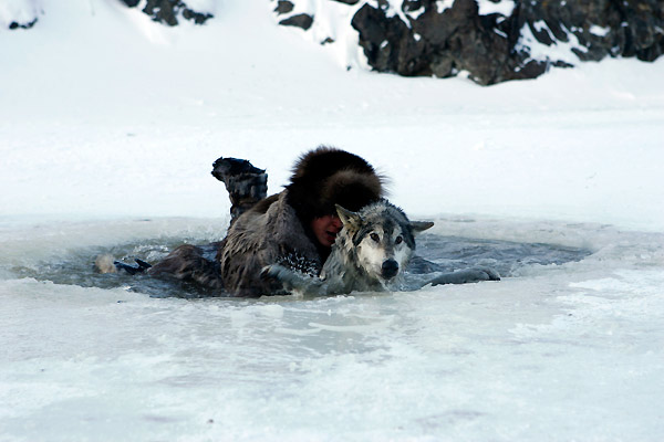 Der Junge und der Wolf : Bild