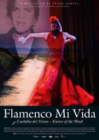 Flamenco Mi Vida : Kinoposter