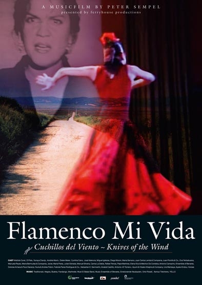 Flamenco Mi Vida