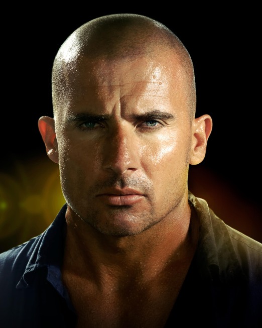 Bild Dominic Purcell