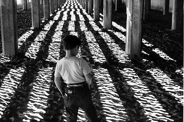 Der kleine Ausreißer : Bild Raymond Abrashkin, Morris Engel