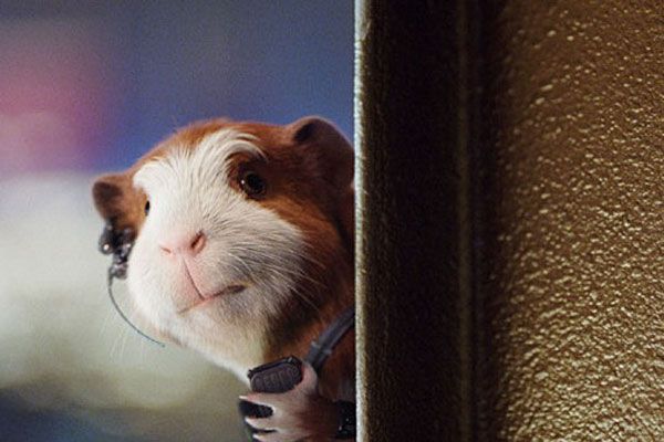 G-Force - Agenten mit Biss : Bild Hoyt Yeatman