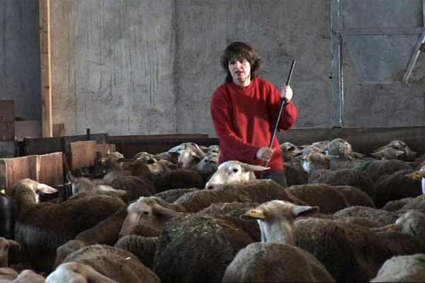 Bild Catherine Pozzo Di Borgo