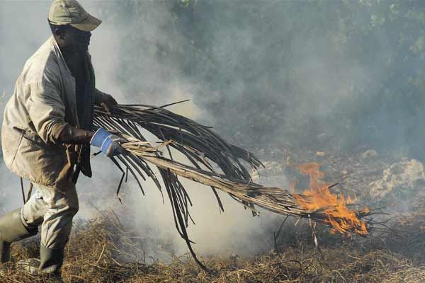 Bild Sylvaine Dampierre