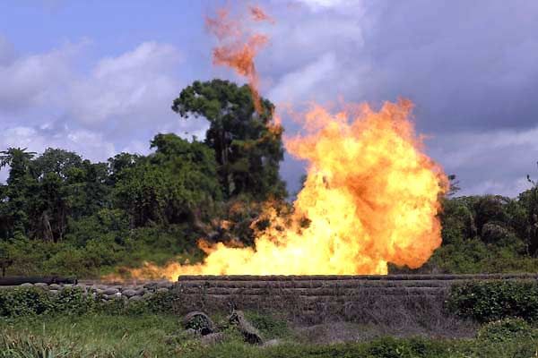 Age of Stupid : Bild Franny Armstrong