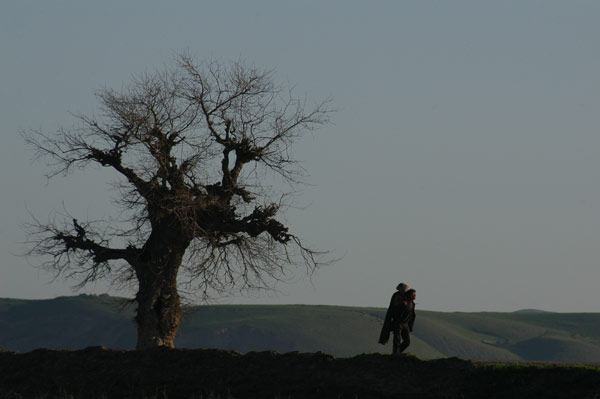 Two-Legged Horse : Bild Samira Makhmalbaf