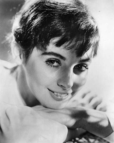 Das Tagebuch der Anne Frank : Bild