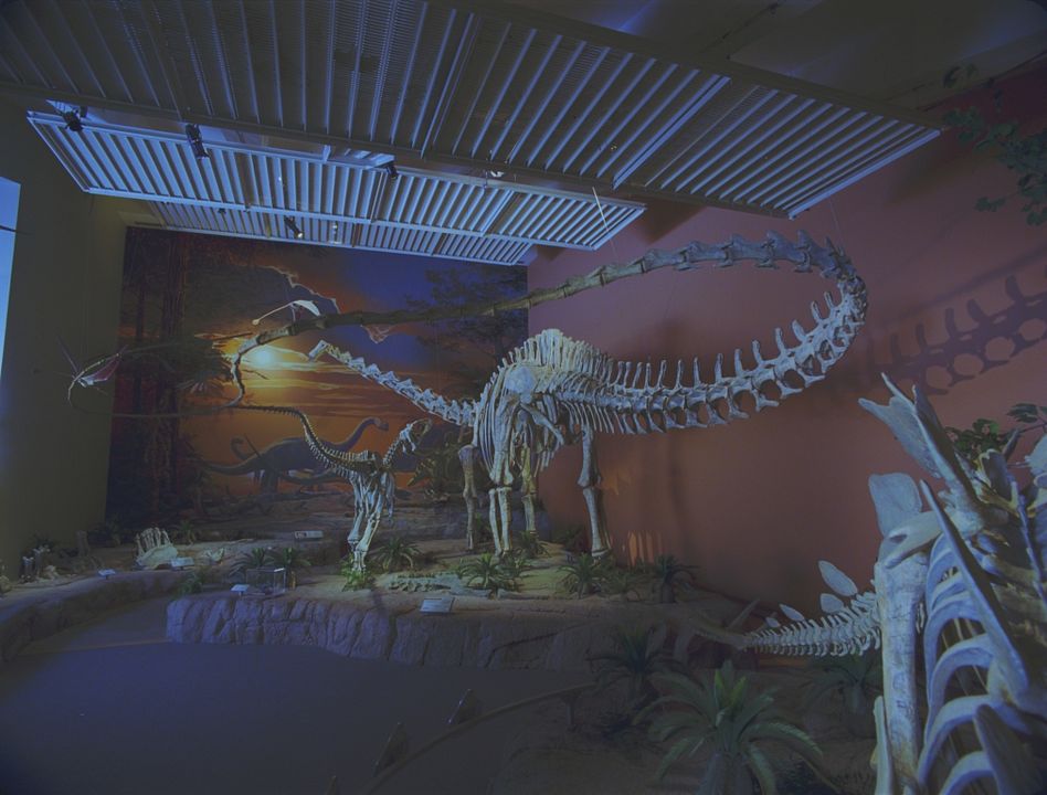 Dinosaurier Live 3D - Fossilien zum Leben erweckt : Bild