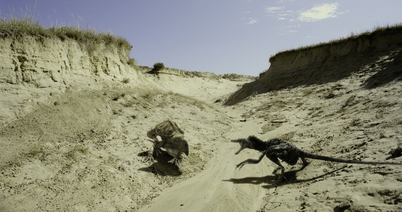 Dinosaurier Live 3D - Fossilien zum Leben erweckt : Bild