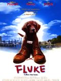 Fluke - Ein Hund räumt auf : Kinoposter