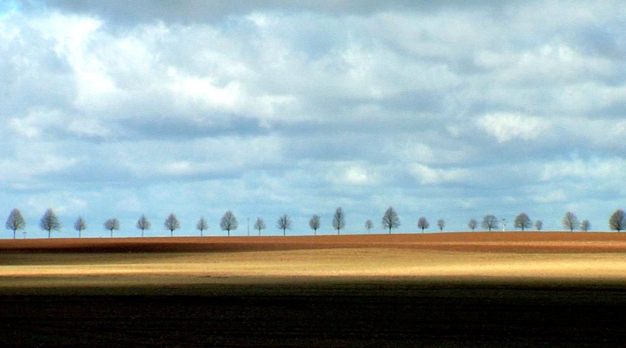 Bernard ni dieu ni chaussettes : Bild