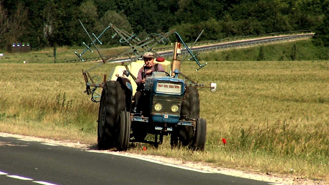 Bernard ni dieu ni chaussettes : Bild