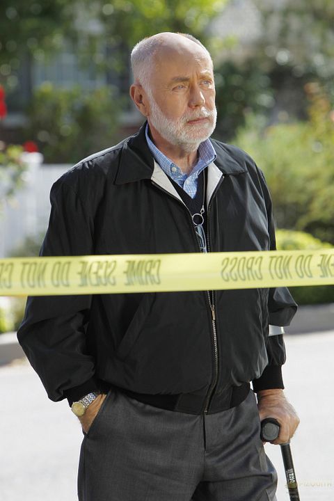 CSI: Den Tätern auf der Spur : Bild Robert David Hall