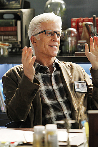 CSI: Den Tätern auf der Spur : Bild Ted Danson