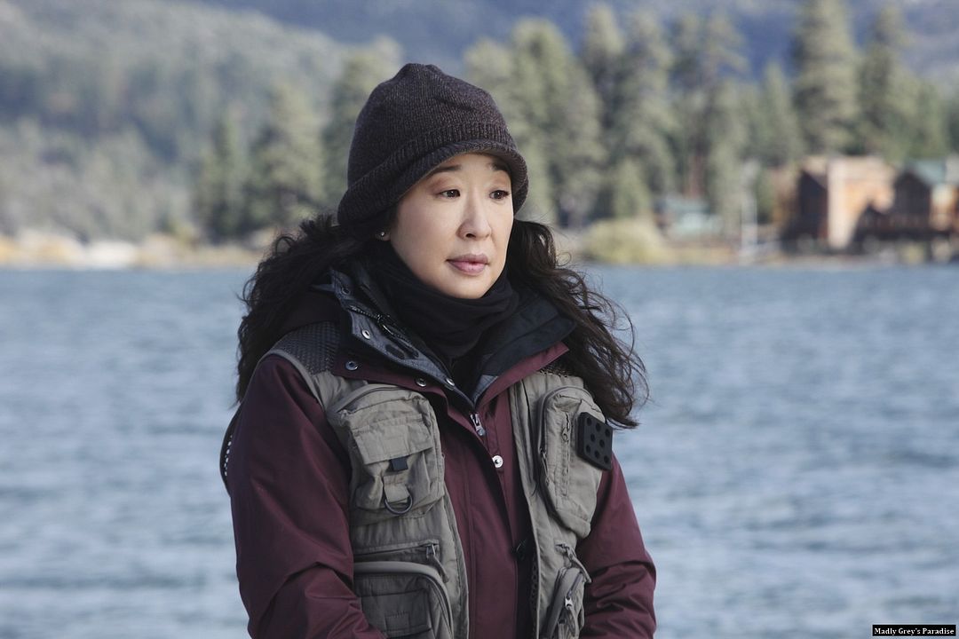 Bild Sandra Oh